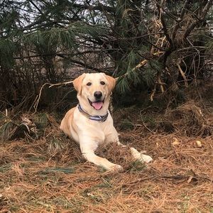 Meet your Posher, Wade